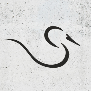 Studie Kalligrafie