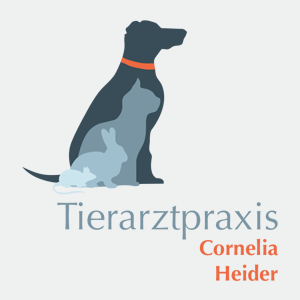 Studie Logo